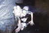 amellliiaa Altpins Profile Picture