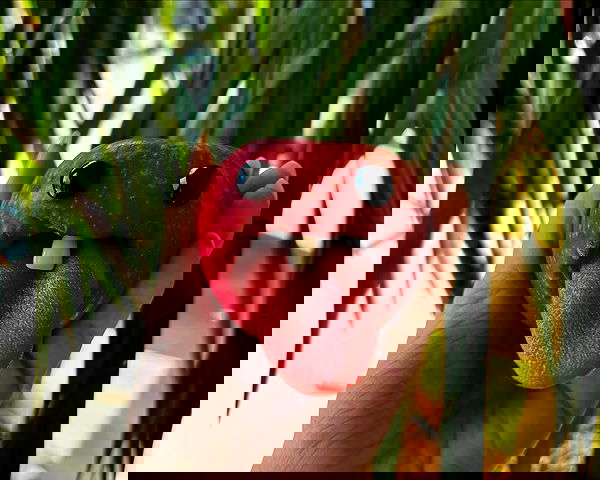 yemada yemada archive image