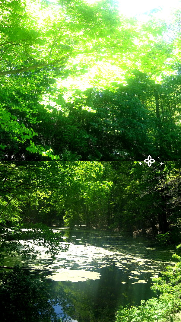 danvyee archive image