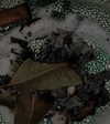 _broock_ Altpins Profile Picture