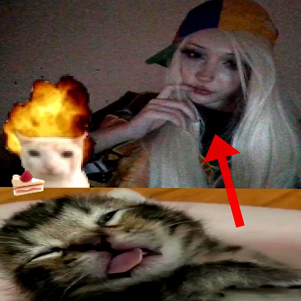 Archived image from @meowwmaxxer on Instagram