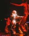 xtina Altpins Profile Picture