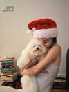 ll.lu1s Altpins Profile Picture