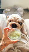 noam_alon1 Altpins Profile Picture