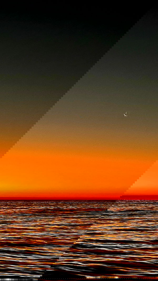 taylor.creeden taylor.creeden archive image