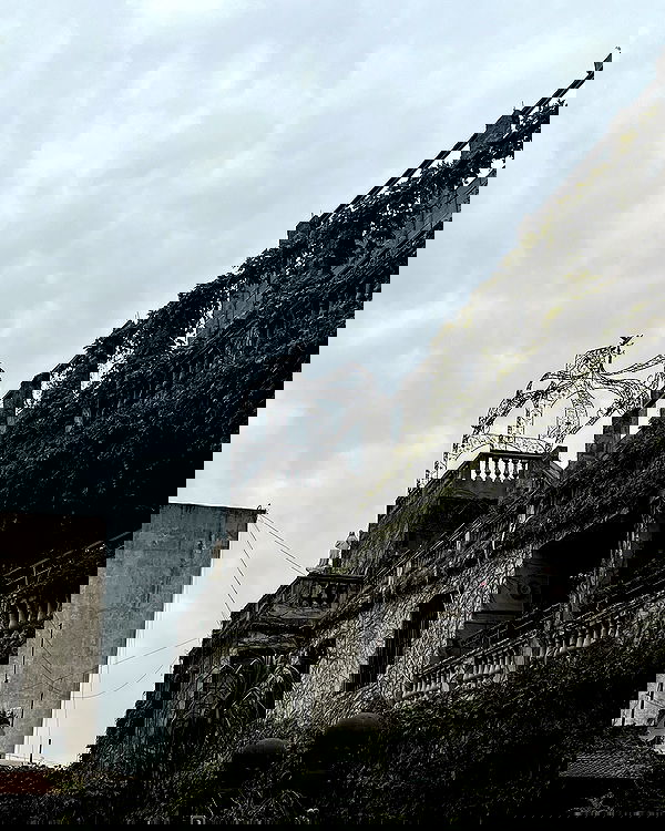 naia_gg naia_gg archive image