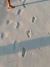 kyliejenner Altpins Profile Picture