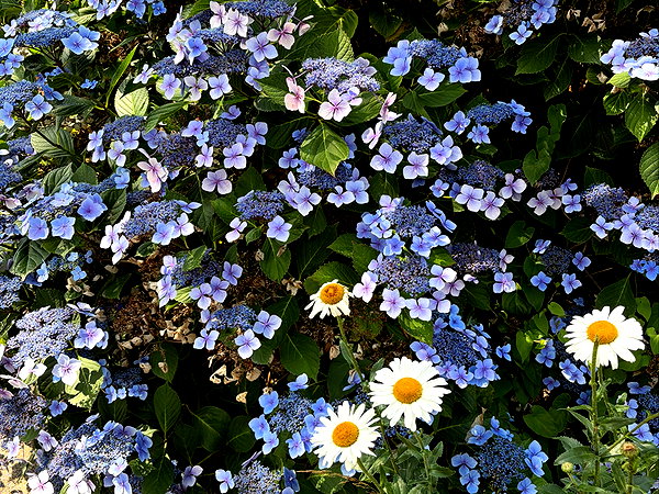 taratornquist instagram image archive image