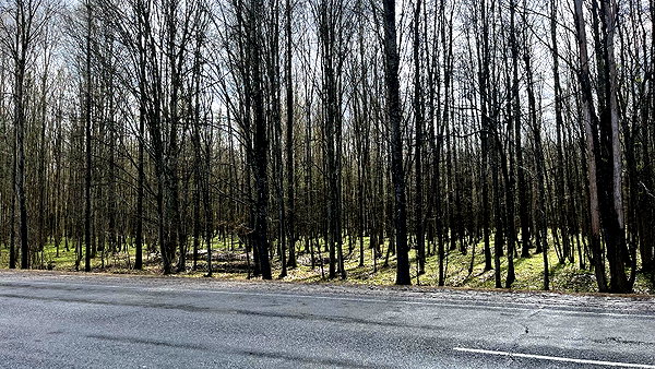 stranstviepera instagram image archive image