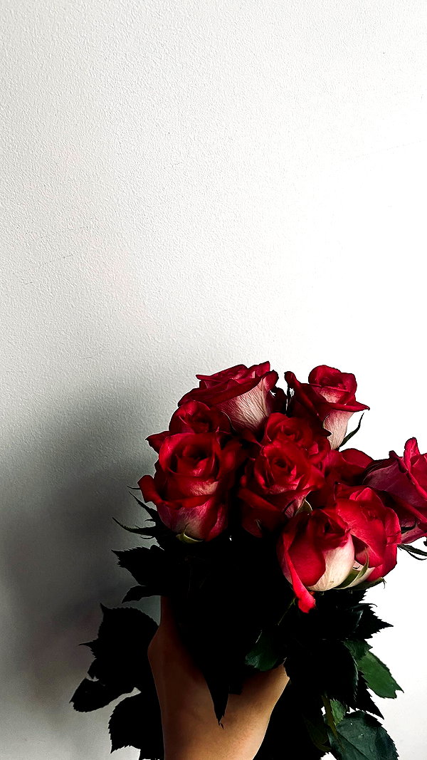 annabottoo instagram image archive image