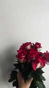 annabottoo Altpins Profile Picture
