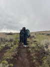 thelizzyporter Altpins Profile Picture