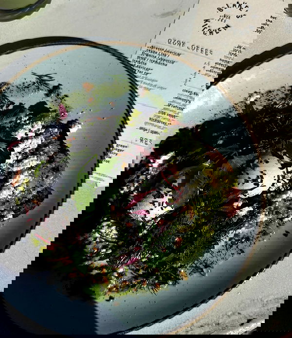 taylor.creeden taylor.creeden archive image