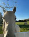 elizabethcampbelljones Altpins Profile Picture