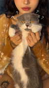 275.cn Altpins Profile Picture