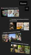 shunli__mei Altpins Profile Picture