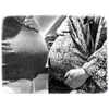 katehudson Altpins Profile Picture