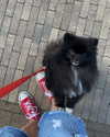 katrina.zaiceva Altpins Profile Picture