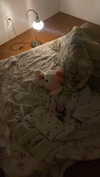 teakitten_ Altpins Profile Picture