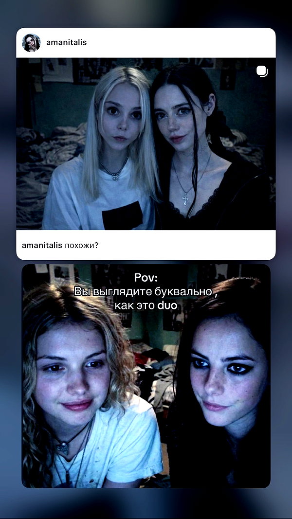 amanitalis instagram image archive image