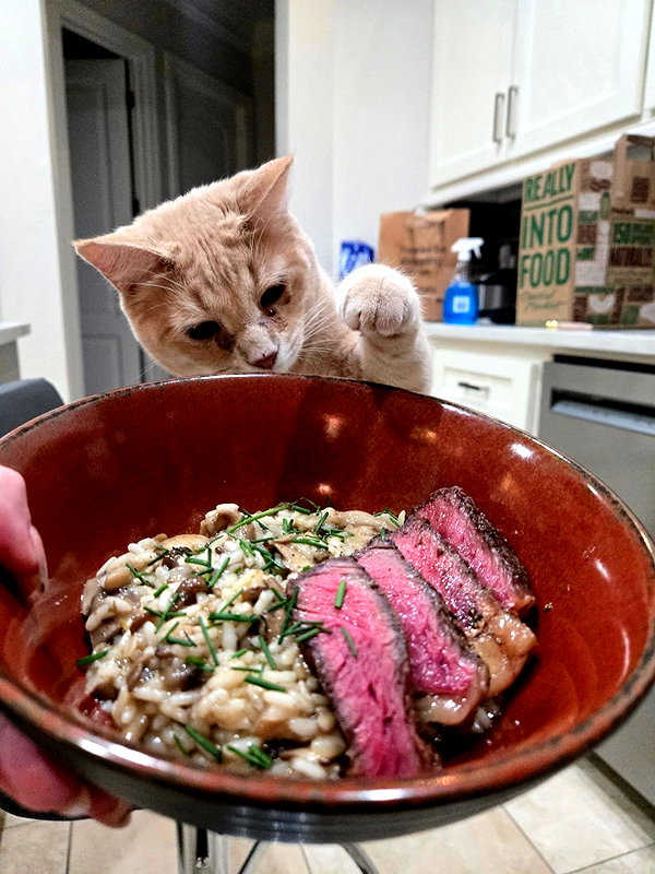 emiru.jpg instagram image archive image