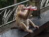 gritsa.k Altpins Profile Picture