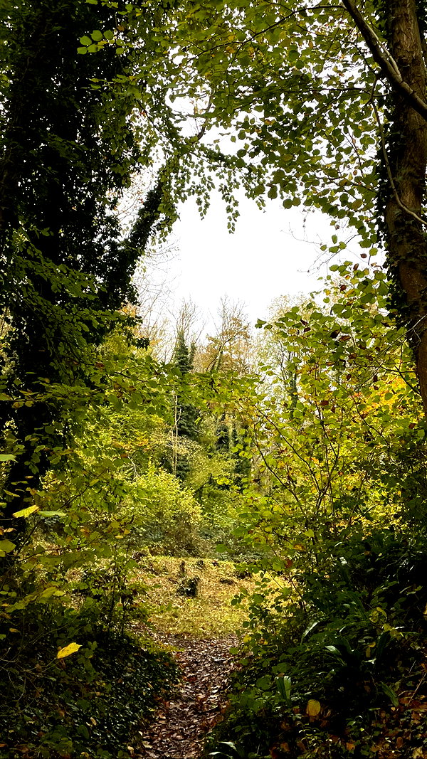 mollieruck instagram image archive image