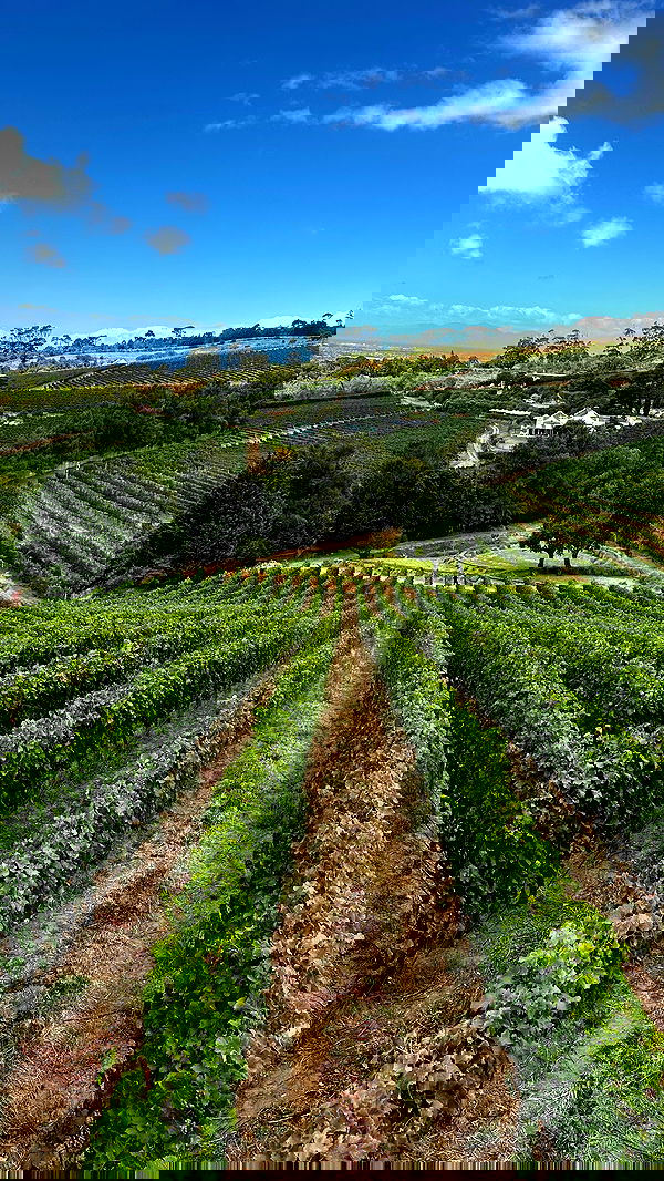 taylor.creeden taylor.creeden archive image