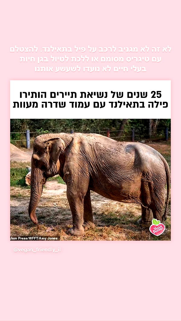 kesemgreenyer instagram image archive image