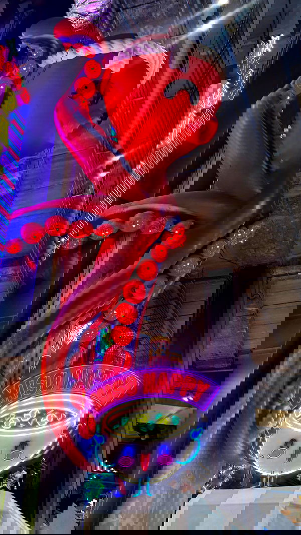 yam_adler yam_adler archive image