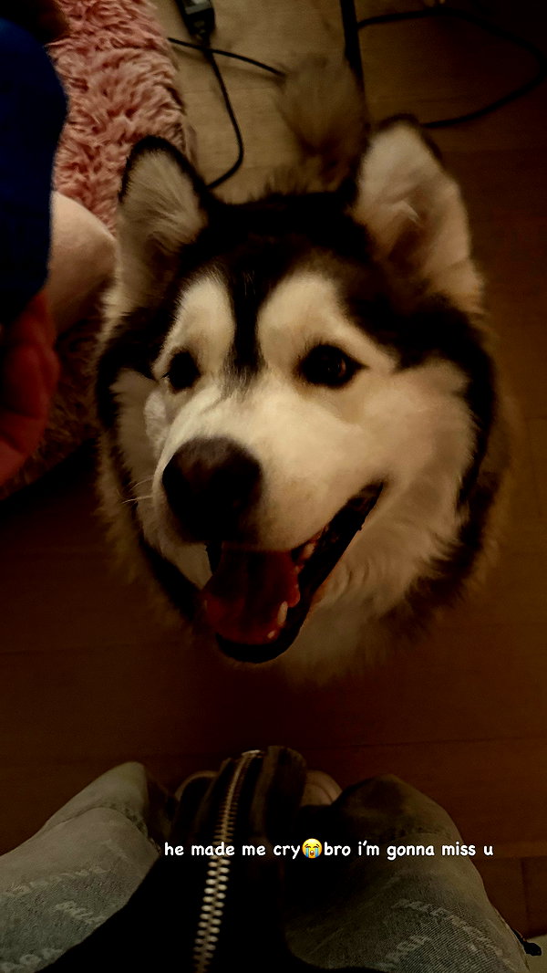 shulunc instagram image archive image