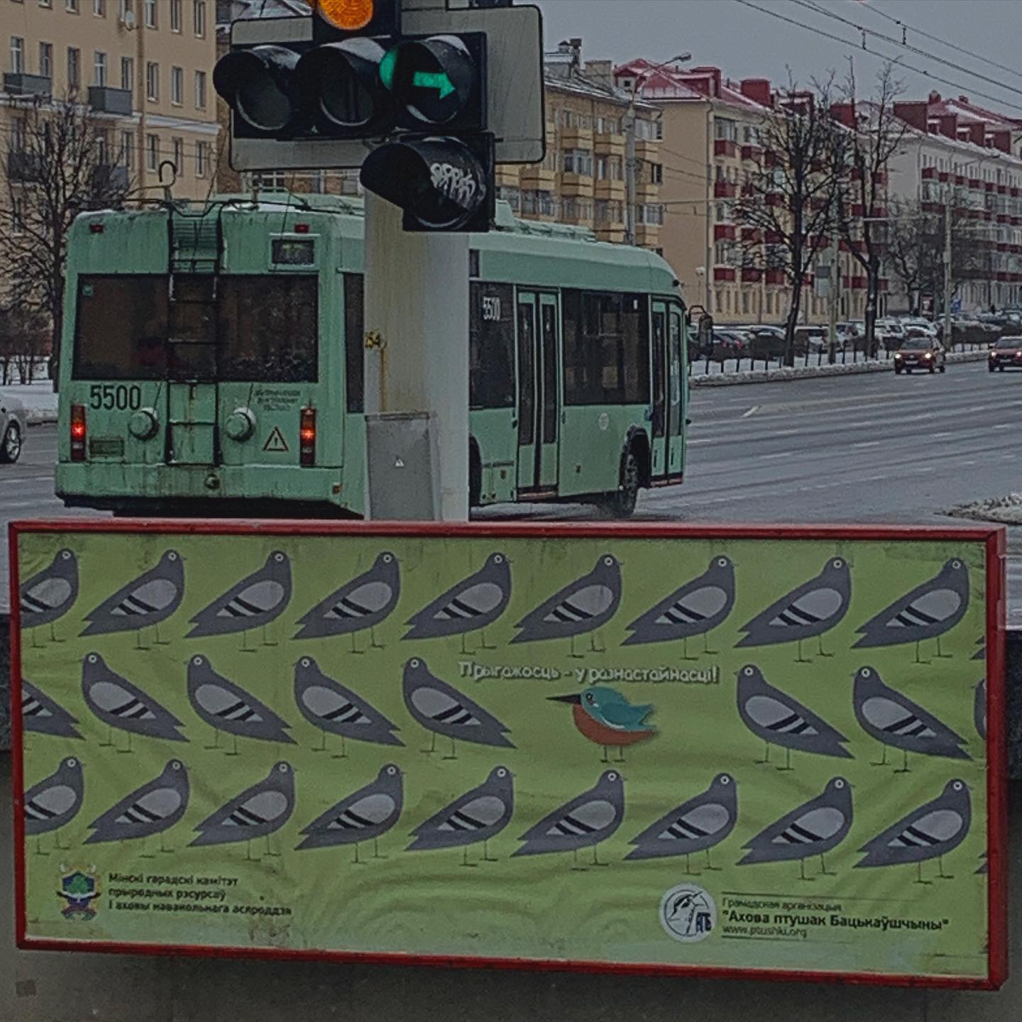 annfigmax instagram image archive image