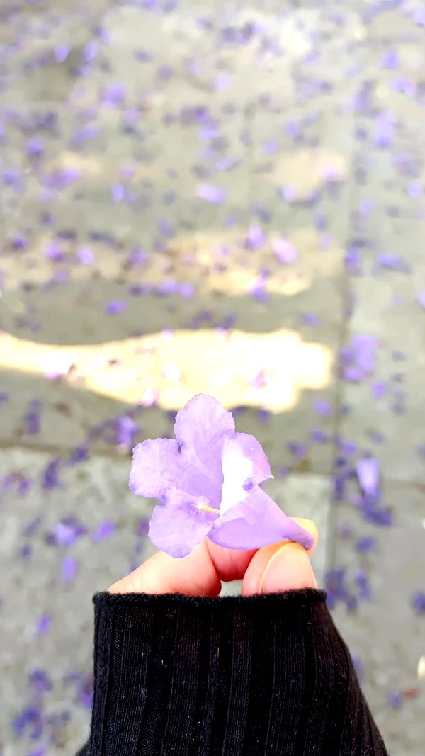 shulunc instagram image archive image