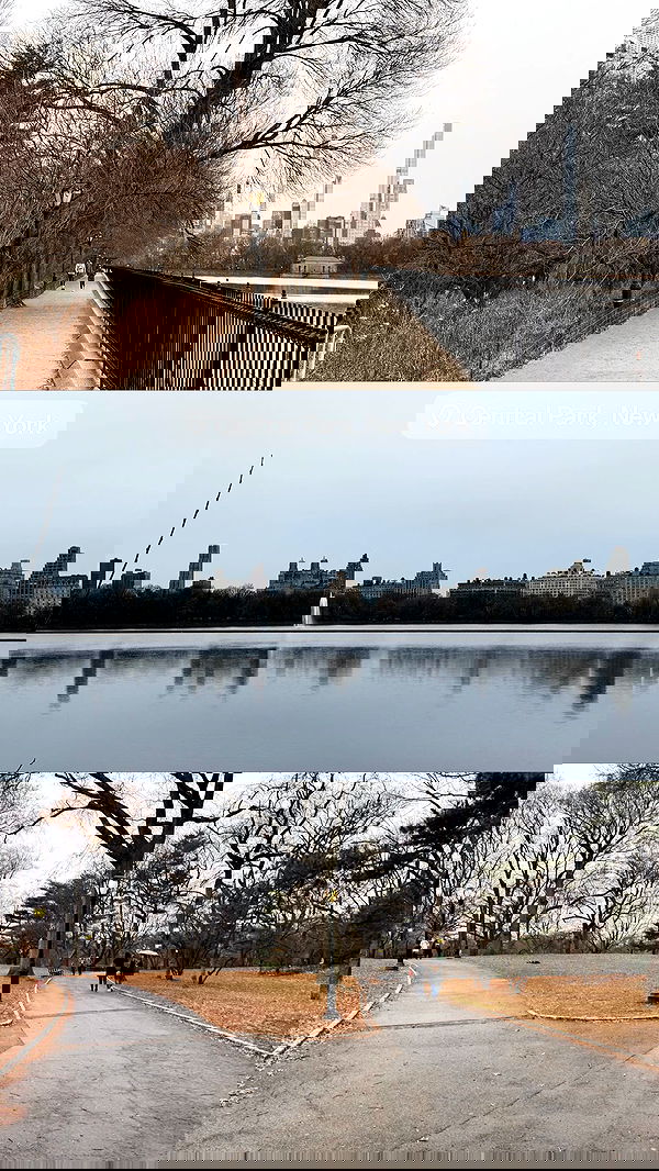 biton__adi biton__adi archive image