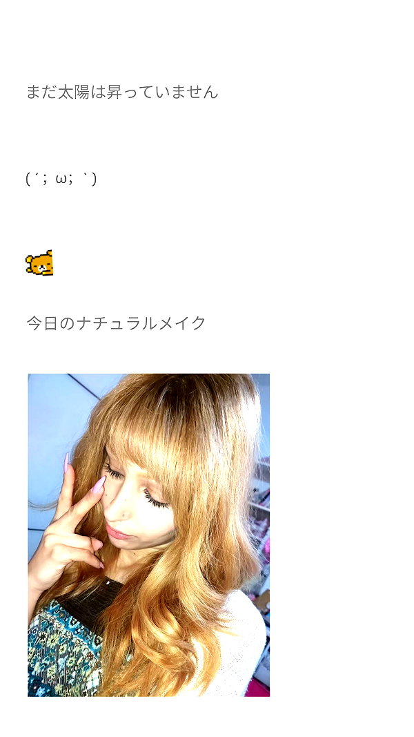 piyokoblog archive image