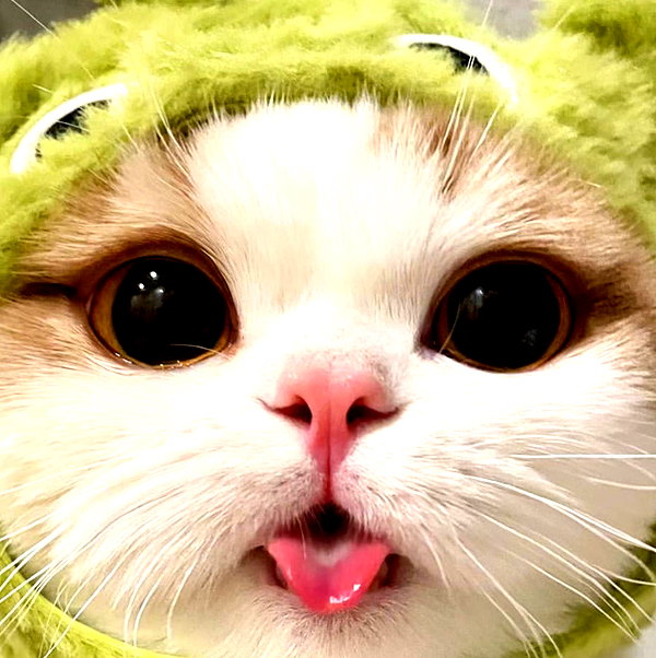 caradelevingne instagram image archive image