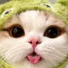 caradelevingne Altpins Profile Picture