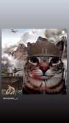babynympho_archive Altpins Profile Picture