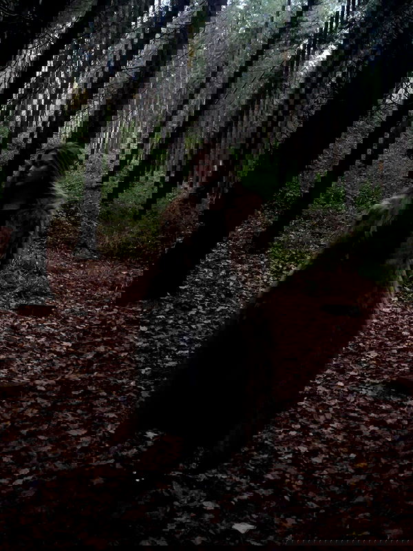 kitty.elliss kitty.elliss archive image