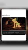 moonliliaght Altpins Profile Picture