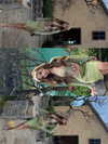 lyhythuedoxinh Altpins Profile Picture
