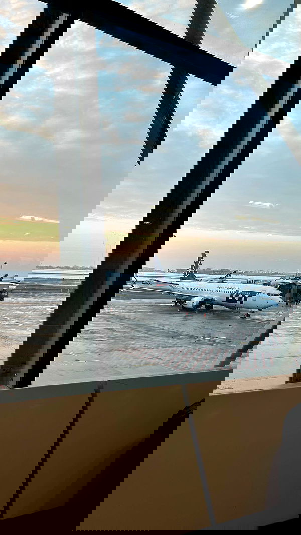 vwnrottie vwnrottie archive image