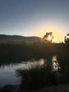 yaarat11 Altpins Profile Picture