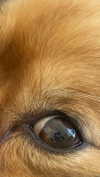 babynympho_archive Altpins Profile Picture