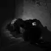 shayli_or Altpins Profile Picture