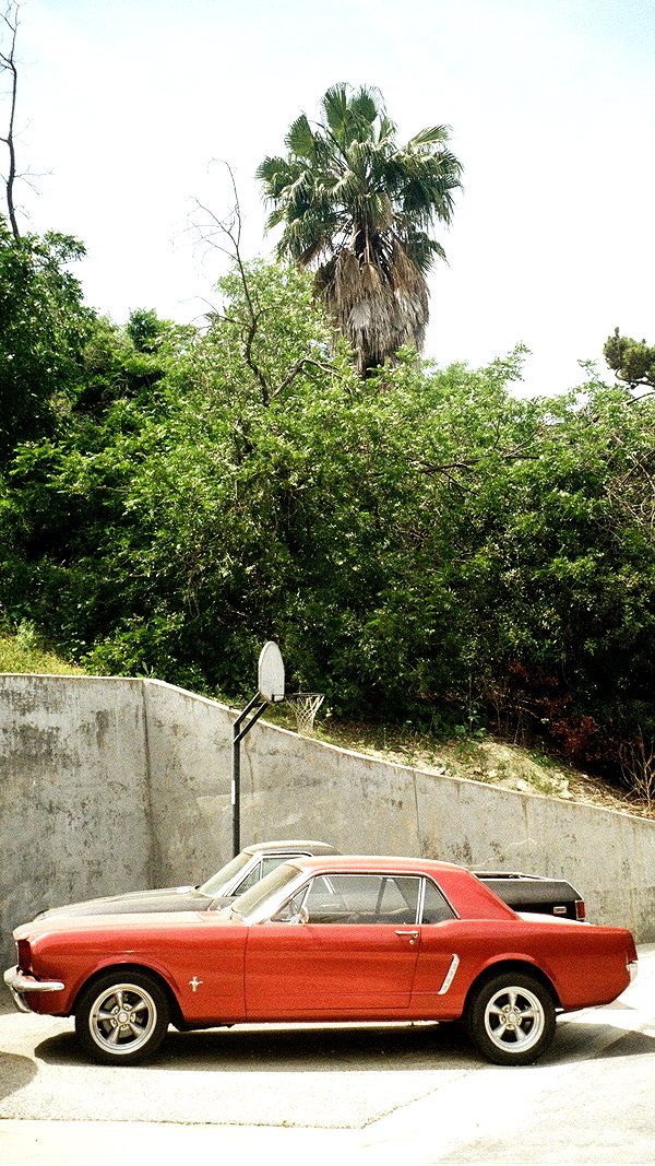 pia__kim archive image