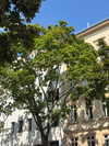 biancanataliie Altpins Profile Picture