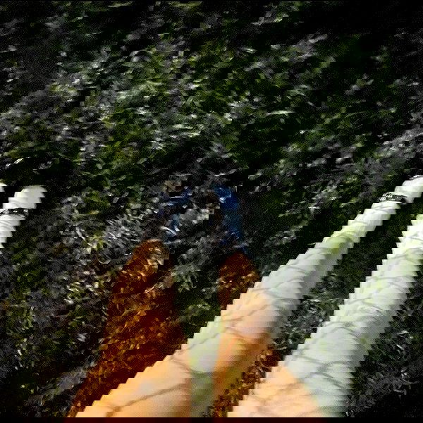 missnyxdawn missnyxdawn archive image