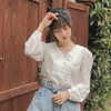 erokochiba Altpins Profile Picture