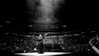 adele Altpins Profile Picture